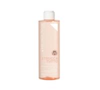 Diego Dalla Palma - Diego Dalla Palma Struccatutto Peeling Struccante Delicato 400 ml