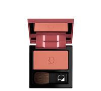 Diego Dalla Palma Milano Polvere Compatta Per Guance 26 Mattone per Guance Texture Setosa 5 gr Compatto