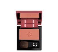 Diego Dalla Palma Milano Polvere Compatta Per Guance 27 Biscotto per Guance Texture Setosa 5 gr Compatto