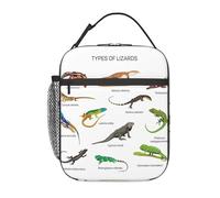 DIEzig Diversi tipi di borsa termica portatile della stampa della lucertola, borsa termica del pranzo, borsa termica del pranzo per il trasporto di stoccaggio del pasto