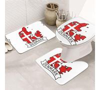DIEzig Set di tappeti da bagno con stampa di mappe della Danimarca, in flanella, antiscivolo, per bagno e suite degli ospiti, include tre forme