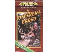 Different Breed & Solving the
