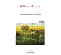 Different rhythms. Atti 8° convegno FKL sul paesaggio sonoro (Cagliari, 27-30 settembre 2017)