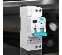 Differenziale auto rigenerabile, superimmunizzato riarmabile classe A riconnessione automatica 40A 30mA 6Ka Interruttore Riarmabile rotaia Tuya RCBO Riarmo Automatico (Classe A con Wifi)