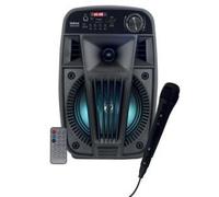 Diffusore Amplificato 100W Karma - V SINGER