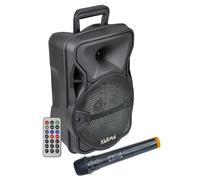 KARMA CASSA AUDIO AMPLIFICATO LX 8 300 WATT CON RADIOMICROFONO