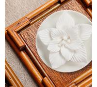 Diffusore di aromi di fiori Home Donna Uomo Olio essenziale Diffusore di