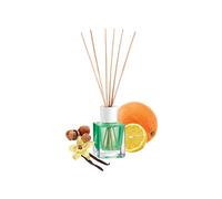 Diffusore Di Essenza Profumatore 100ml