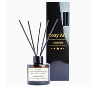 Diffusore di oli essenziali | Fragranqce per la casa | Vegan Pure Natural | 100 ml (Eucalipto + Menta)