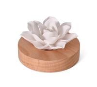 Diffusore di Oli Essenziali Pietra,Pietra Aromaterapica Diffusori, Diffusore Oli Essenziali Piccolo,per Oli Essenzialis, per Camera da Letto, Soggiorno, Spa, Bagno