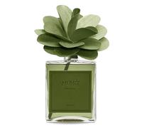 Diffusore Di Profumo Di Muhà Da 500Ml. Flower Diffuser Realizzato In Vetro, Legno Ed Eco-Pelle, Dimensioni: 142X142X237 Mm. Oggetto Di Colore Verde E Frangranza: Mosto Supremo. La Referenza È H57