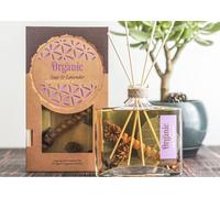 Diffusore Mikado Salvia e Lavanda 50+ Giorni | Elementi Naturali | Oli Essenziali Purificanti | Vegan & Bio | Aromaterapia Lunga Durata - 13 di Ilaria