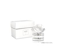 Diffusore Rosa Bianca , Fragranza Acqua e Sale , MUHA