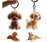 DIFLAX 2 Pezzi Portachiavi Raccogli Peli di Cane, Clear Keychain Bottle, Portable Memorial Capsules, Grazioso Ciondolo for Cani, DIY Pet Keepsake for Travel, Car, Home, Burial, Outdoor, Sympathy