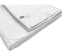 Diforma Confezione da 1 telone impermeabile 2 x 3 m, bianco, 55 g/m2, con anelli di metallo, fogli protettivi, telo protettivo per auto, telo multiuso (1 pezzo, 2 x 3 m)