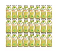 DIFRUTTA MELA 100% BIO 0,20CL (24 pz)