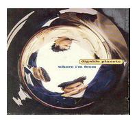 Digable Planets - Where I'm From / Cauliflower Speedy