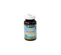 DIGESTOMAP L POLVERE 60G
