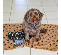 DIGIFLEX Set di 3 coperte in morbido pile, per animali domestici, gatti e cani, molto grande, 144 x 96 cm, colore: Beige Grigio e Nero