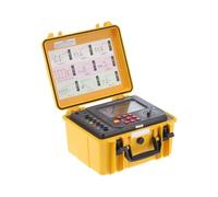 Digital Insulation Resistance Tester Tester di resistenza Strumento di prova for misuratore di resistenza di terra a doppio morsetto impermeabile Megohmmeter Tester