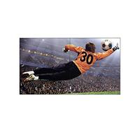 Digital Signage LG 49VL5PJ-A 1244,60 mm