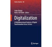 Digitalization: A Multidimensional Analysis of Digital Transformation Across Sectors