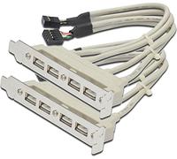 DIGITUS 2 cavi USB, 4 x tipo A, 2 x 10 pin IDC, lunghezza 0,25 m, compatibile con USB 2.0, beige