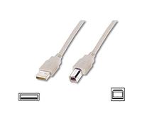 DIGITUS Cavo di collegamento USB 2.0-1,8 m - da USB A (M) a USB B (M) - 480 Mbit/s - Cavo di collegamento, compatibile USB - Beige