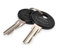 DIGITUS Chiave per custodia a parete SOHO PRO DN-1019 DN-19-KEY-4444