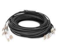 Cavo a fibre ottiche Digitus breakout universale in fibra ottica dotato di terminali, Multimode OM4, 12 fibre, LC/UPC - [DK-2433CU030BK-BBB]