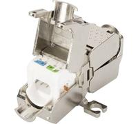 Digitus DN-93909 RJ45 / Connettore Rete Adattatore CAT 6A, Non classificata [1x