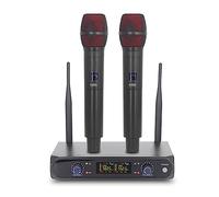 DIGNIFE Microfoni Wireless, Microfono wireless a frequenza fissa Microfono professionale a 2 canali for la presentazione della chiesa della banda della festa nuziale microfoni e ricevitore wireless
