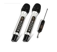 DIGNIFE Microfoni Wireless, Microfono wireless in metallo a 2 canali con doppio di microfono dinamico palmare Echo Treble Bass for altoparlante PA for cantare microfoni e ricevitore wireless