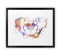 Dignovel Studios 8X10 Senza cornice Osso Pelvico Diagramma Illustrazione Anatomia Umana Scienza Medica Acquerello Stampa di Arte Poster Appeso a Parete DN1019