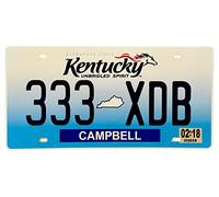 DiiliHiiri Targa per auto statunitense. Repliche di targhe americane USA - Decorazione per bar - Pub - Caffetteria - Grotta di uomo - Garage o officina -15x30cm-Poster (2651-18)