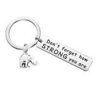 DiiWmme Personaklized Portachiavi a forma di elefante, con scritta "Don't Forget How Strong You Are", portachiavi Y2K, accessori per auto, borsa, zaino, per uso personale, regalo di compleanno,