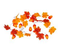dijiusidy Catena luminosa a LED, con luci LED calde, durevoli e con un certo grado di corrosione. Per autunnale, utilizza la catena luminosa per interni.