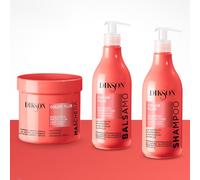 Dikson Color Plus, Set di Shampoo Protettivo, Balsamo e Maschera per Capelli Colorati, con Estratto di Papavero e Revocolor Complex