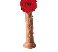 dildo realistico dildo di spinta Soft Dildo Plug anale realistico Dildo per adulti Giocattoli (1PC-XL)