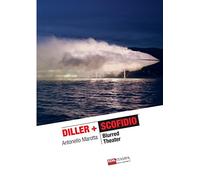 Diller + Scofidio Blurred Theater