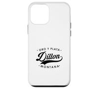 Dillon Montana Oro Y Plata State Motto per uomo donna. Custodia per iPhone 12 mini