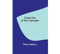 Dillon Wallace Social Value: A Study in Economic Theory, Critical an (Tascabile)