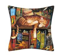 DILOXNSU Federa per cuscino a forma di gatto, bella libreria che dorme, regalo per gli amanti dei gatti, double-face, quadrata, 45 x 45 cm, per divano, soggiorno, letto, fattoria, 45,7 x 45,7 cm