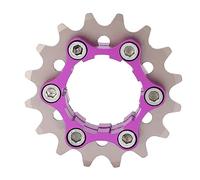 Dilwe Indagine Professionale sulla Ruota d'Acciaio -Frenisi -Actory per Biciclette, Meravigliosa per Gli Amanti della Bicicletta / 22t (16T)