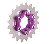 Dilwe Indagine Professionale sulla Ruota d'Acciaio -Frenisi -Actory per Biciclette, Meravigliosa per Gli Amanti della Bicicletta / 22t (20T)