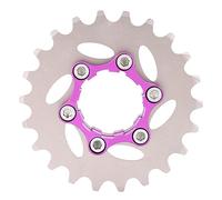 Dilwe Indagine Professionale sulla Ruota d'Acciaio -Frenisi -Actory per Biciclette, Meravigliosa per Gli Amanti della Bicicletta / 22t (22T)