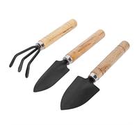 Dilwe Mini Set di Attrezzi da Giardinaggio 3 Pezzi, Pala in Metallo Resistente, Rastrello Artiglio per Piante in Vaso e Fioriere, Perfetto per gli Amanti dei Fiori