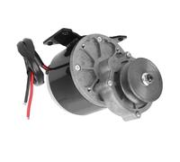 Dilwe Motoriduttore con Puleggia a Cinghia in Rame per Impieghi Gravosi con Coppia Elevata per Uso Industriale 12V 250W