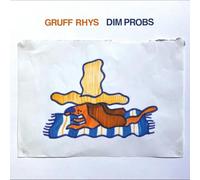 Gruff Rhys Dim Probs (Vinyl LP) 12" Album