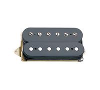 DiMarzio DP 193G Air Norton